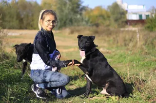 Моджо, фотография
