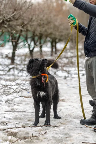 Тейси, фотография