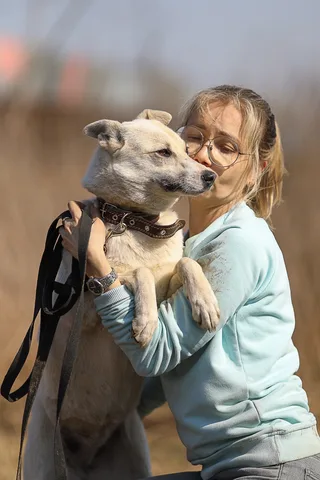 Белла, фотография