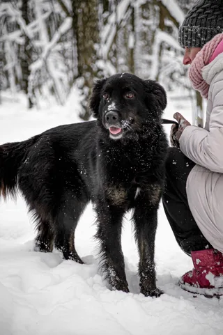 Фрида, фотография