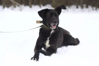 Маша, фотография