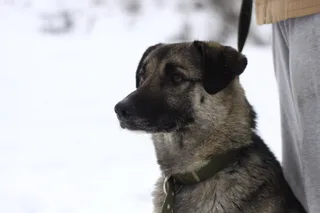 Лика, фотография