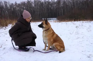Винни, фотография