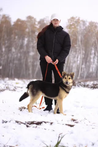 Спарки, фотография