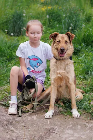 Ося, фотография