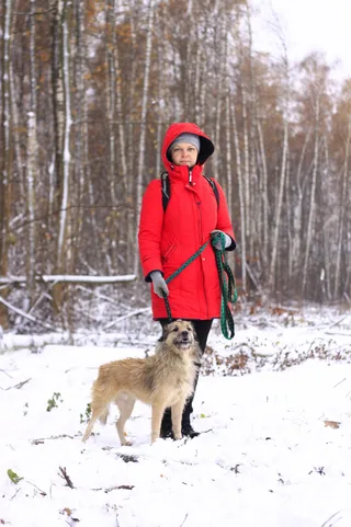 Ежик, фотография
