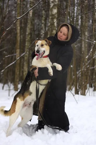 Лайк, фотография