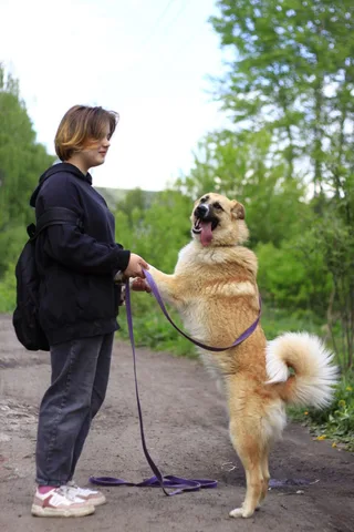 Расти, фотография