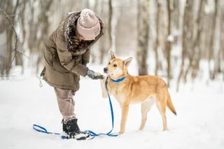Руби, фотография