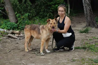 Ося, фотография