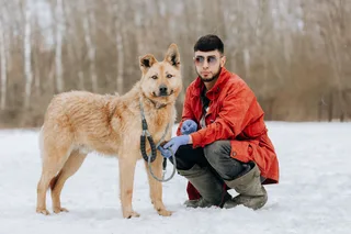 Бинго, фотография