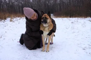 Винни, фотография