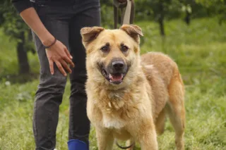 Гром, фотография