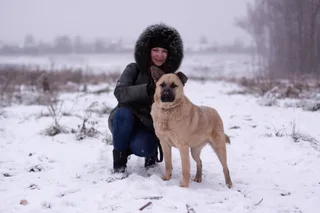 Емеля, фотография