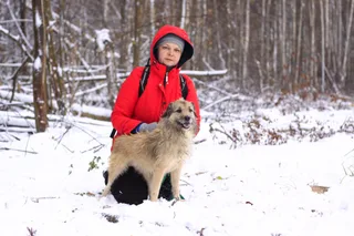 Ежик, фотография