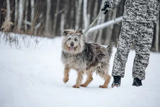 Люся, фотография