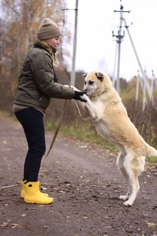 Митяй, фотография