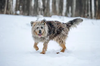 Люся, фотография