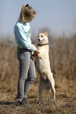 Белла, фотография