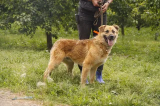 Гром, фотография